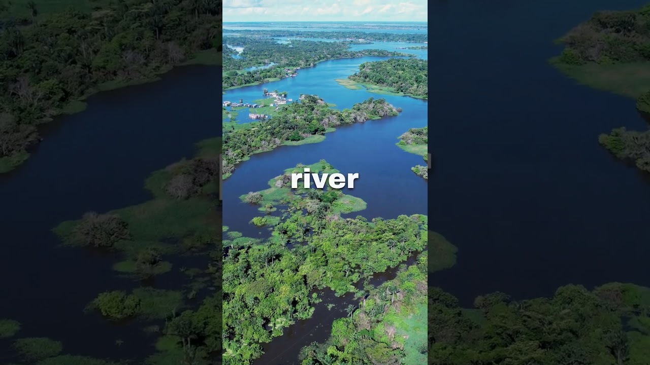 THE AMAZON RIVER
