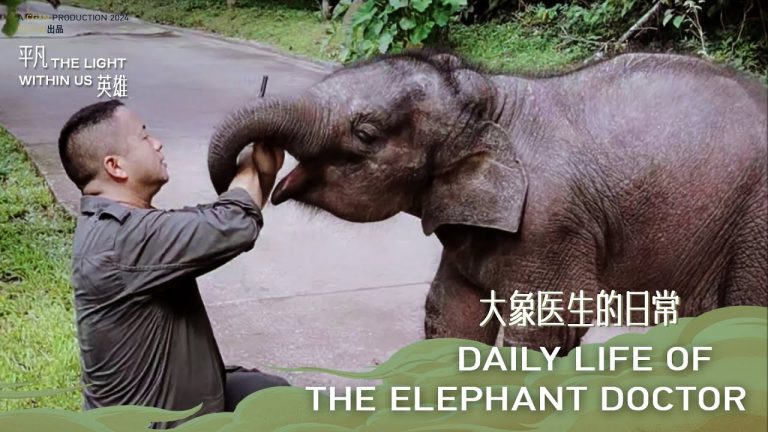 Daily Life of the Elephant Doctor