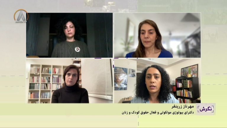 NIGERIS 10 03 2024    نگرش- ارزیابی دستاوردهای جنبش زنان و بررسی چالشها